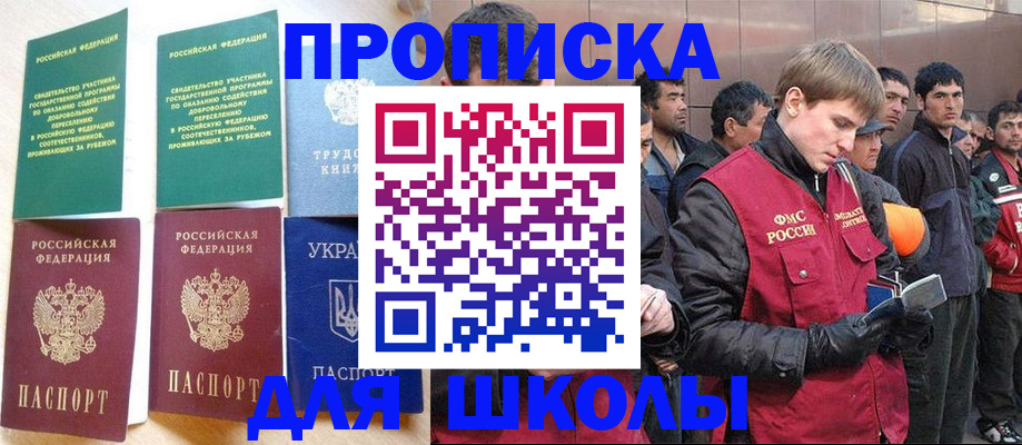 прописка 2025 в Сольцах